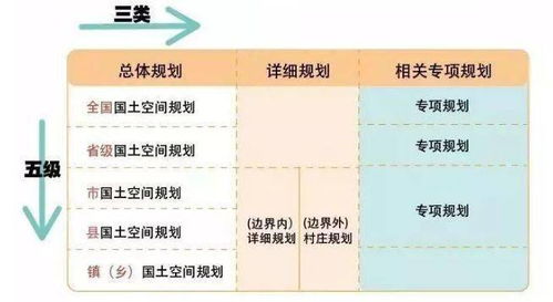 燕窝有哪些等级怎么分：详述燕窝等级分类与划分标准