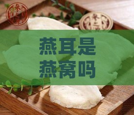 燕耳是燕窝吗：如何食用与制作方法解析