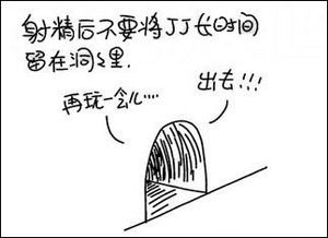 燕耳的含义、来源、食用方法及常见疑问解析