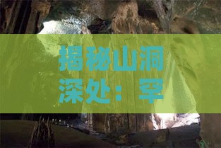 揭秘山洞深处：罕见燕窝的具体方位与探寻指南