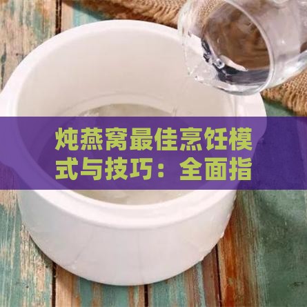 炖燕窝更佳烹饪模式与技巧：全面指南助您选出理想炖煮功能