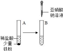 探究燕窝中琼脂的成分及其制作来源：揭秘琼脂的原料与作用