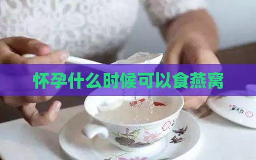 怀孕什么时候可以食燕窝