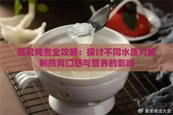 燕窝炖煮全攻略：探讨不同水质对炖制燕窝口感与营养的影响