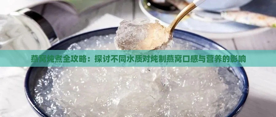 燕窝炖煮全攻略：探讨不同水质对炖制燕窝口感与营养的影响