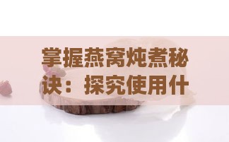 掌握燕窝炖煮秘诀：探究使用什么水炖制燕窝效果更佳