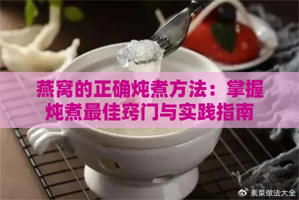 燕窝的正确炖煮方法：掌握炖煮更佳窍门与实践指南