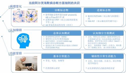 深度解析：燕窝品质、营养差异及多维度用途指南