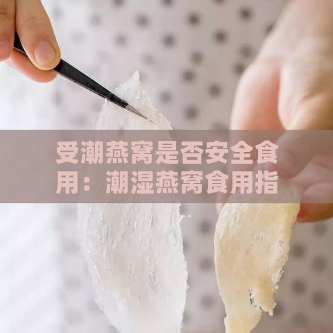 受潮燕窝是否安全食用：潮湿燕窝食用指南