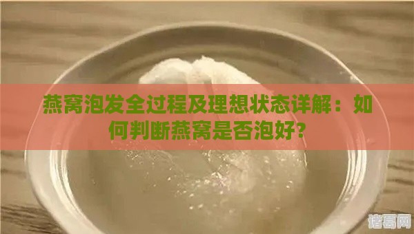 燕窝泡发全过程及理想状态详解：如何判断燕窝是否泡好？