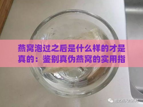 燕窝泡过之后是什么样的才是真的：鉴别真伪燕窝的实用指南与技巧