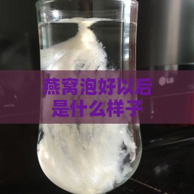 燕窝泡好以后是什么样子