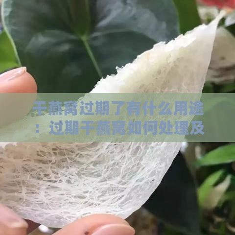 干燕窝过期了有什么用途：过期干燕窝如何处理及还能否食用？