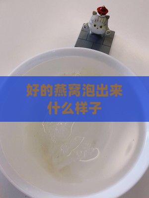 好的燕窝泡出来什么样子