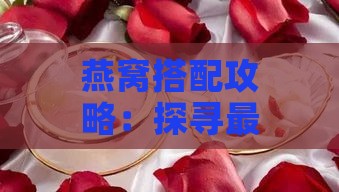 燕窝搭配攻略：探寻更佳滋补伴侣与燕窝的黄金组合