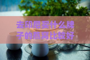 去印尼买什么牌子的燕窝比较好：口感与推荐指南