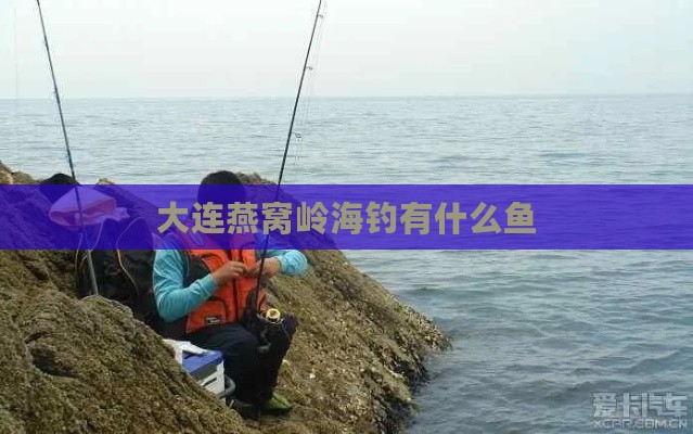 大连燕窝岭海钓有什么鱼