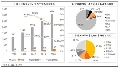 探讨燕窝果嫁接苗与直生苗的优劣：生长速度、产量与市场竞争力综合分析