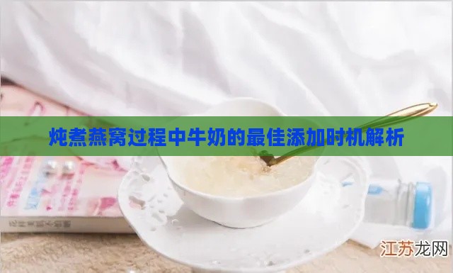 炖煮燕窝过程中牛奶的更佳添加时机解析