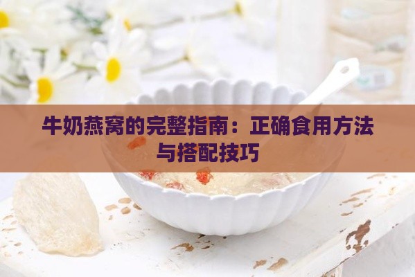 牛奶燕窝的完整指南：正确食用方法与搭配技巧