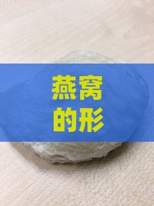 燕窝的形状是什么样子的