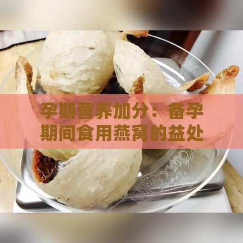 孕期营养加分：备孕期间食用燕窝的益处与功效