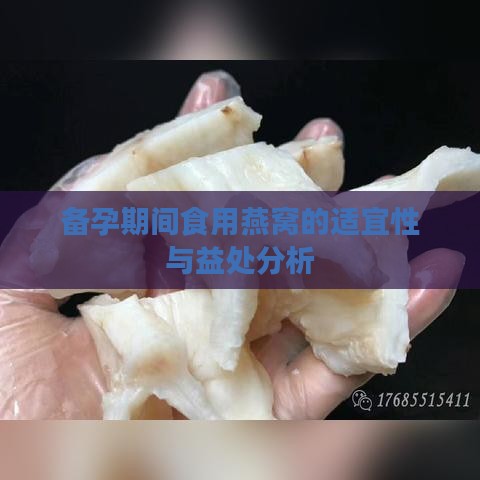 备孕期间食用燕窝的适宜性与益处分析