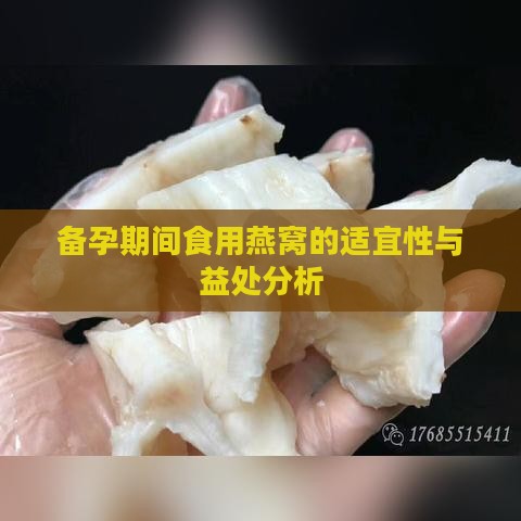 备孕期间食用燕窝的适宜性与益处分析