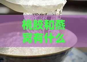 桃胶和燕窝有什么用处吗：能一起吃吗，功效与作用解析