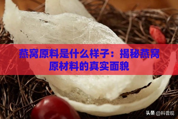 燕窝原料是什么样子：揭秘燕窝原材料的真实面貌