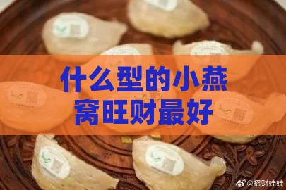 什么型的小燕窝旺财更好