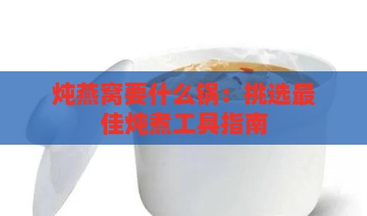 炖燕窝要什么锅：挑选更佳炖煮工具指南