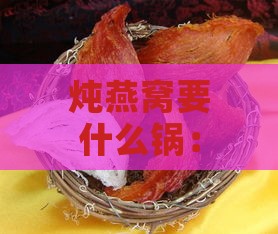 炖燕窝要什么锅：挑选更佳炖煮工具指南