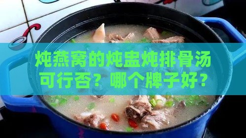 炖燕窝的炖盅炖排骨汤可行否？哪个牌子好？如何使用及多大容量适宜？