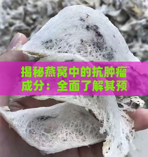 揭秘燕窝中的抗肿瘤成分：全面了解其预防肿瘤的神奇物质