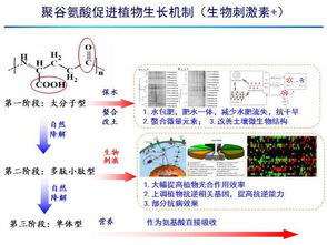 揭秘燕窝中的抗肿瘤成分：全面了解其预防肿瘤的神奇物质