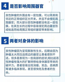 揭秘燕窝中的抗肿瘤成分：全面了解其预防肿瘤的神奇物质