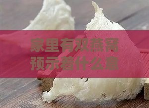 家里有双燕窝预示着什么意思：两燕窝或小燕窝的出现与含义解析