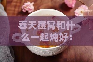 春天燕窝和什么一起炖好：炖煮搭配推荐与美味食谱分享