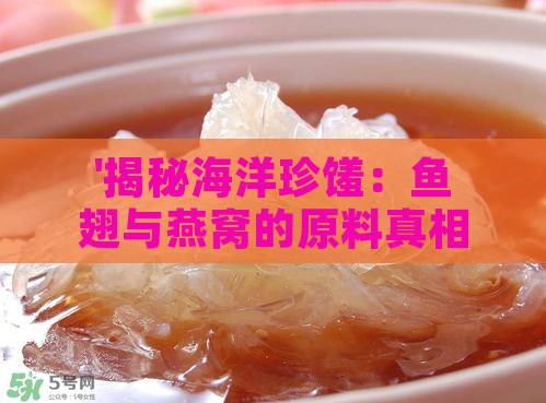 '揭秘海洋珍馐：鱼翅与燕窝的原料真相'