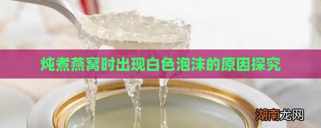 炖煮燕窝时出现白色泡沫的原因探究