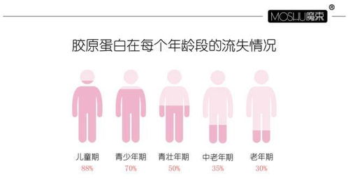 揭秘燕窝核心成分：深度解析燕窝中的主要营养元素