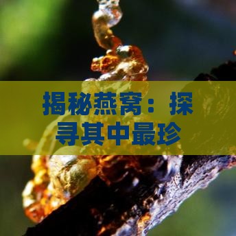 揭秘燕窝：探寻其中最珍贵成分及其营养价值