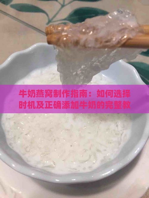 牛奶燕窝制作指南：如何选择时机及正确添加牛奶的完整教程