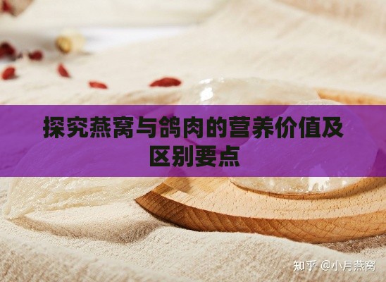 探究燕窝与鸽肉的营养价值及区别要点