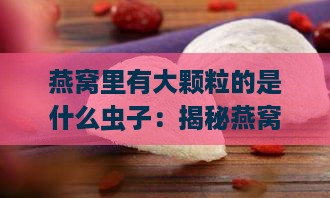 燕窝里有大颗粒的是什么虫子：揭秘燕窝中的神秘成分