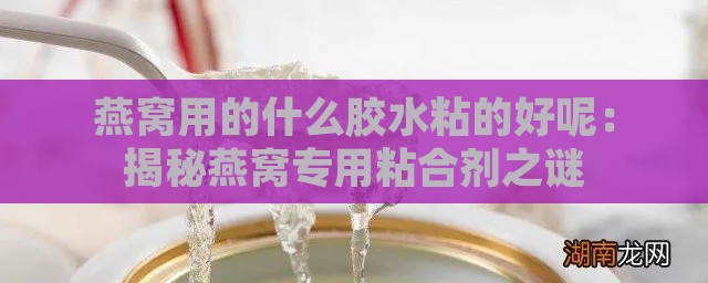 燕窝用的什么胶水粘的好呢：揭秘燕窝专用粘合剂之谜