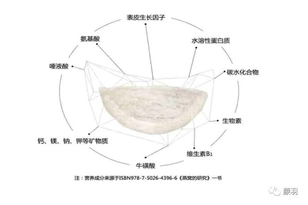 '探究燕窝制作中使用的天然粘合剂成分'