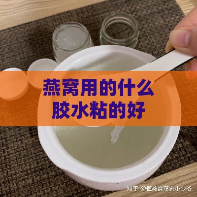 燕窝用的什么胶水粘的好