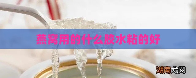 燕窝用的什么胶水粘的好